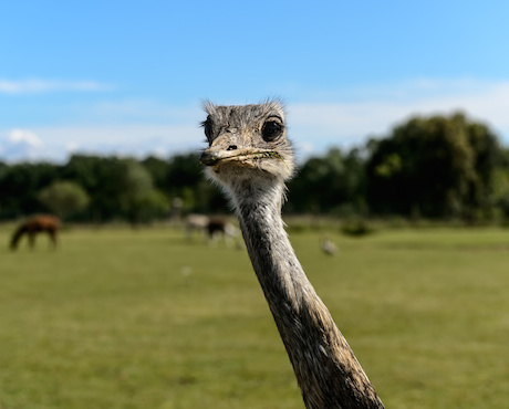 Média Sites Ingénierie