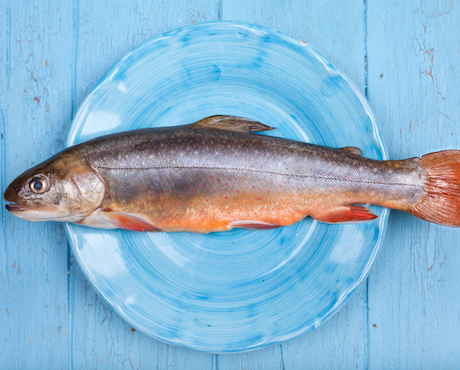 Poissonnerie du Moulin