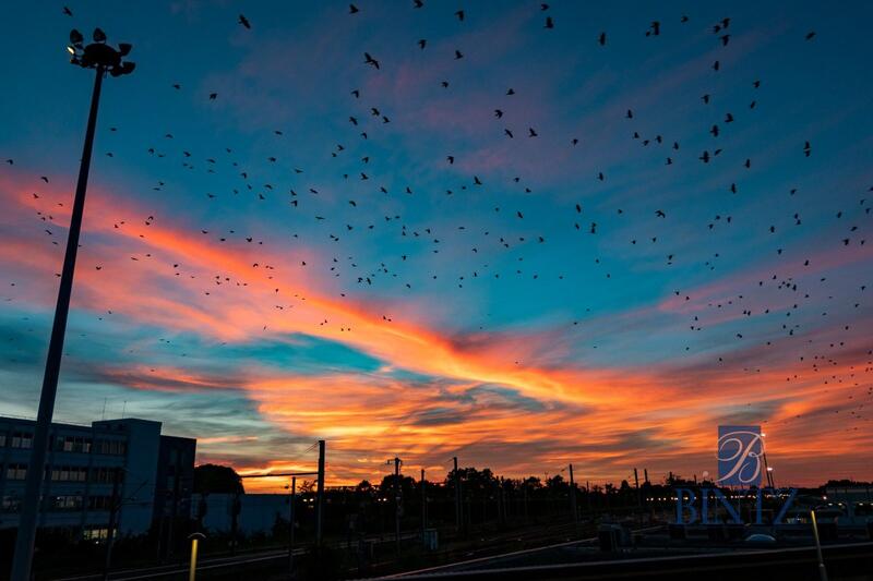 Appartement - 75 m² - 2 pièces