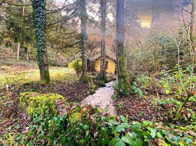 Terrain constructible - 3 197 m²