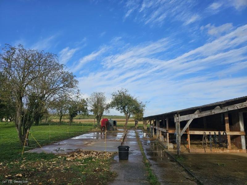 Propriété - 224 m² - 8 pièces