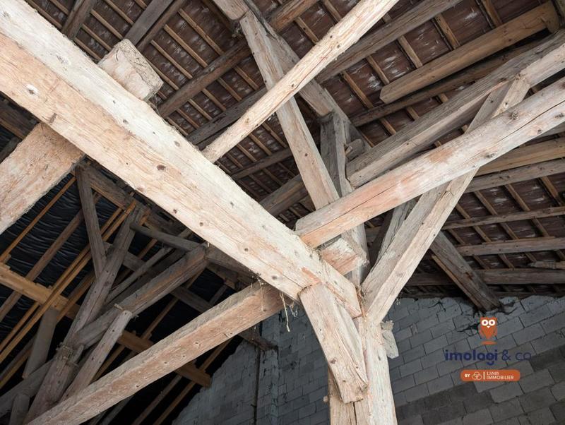 Appartement - 232 m² - 5 pièces