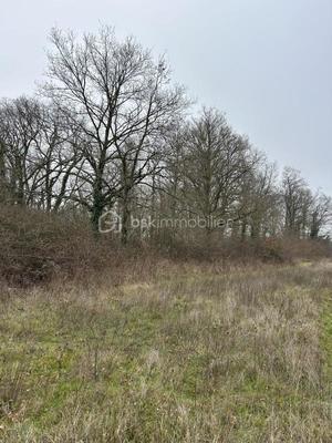 Terrain de loisirs - 16 160 m²