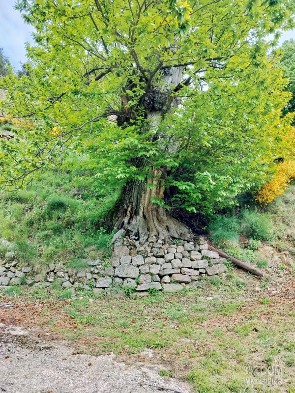 Propriété - 195 m² - 8 pièces