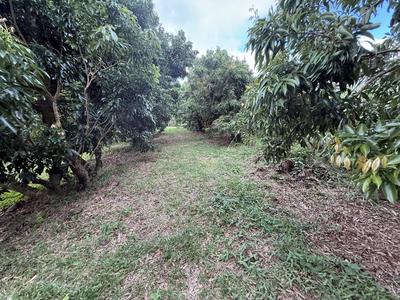 Propriété - 245 m² - 9 pièces