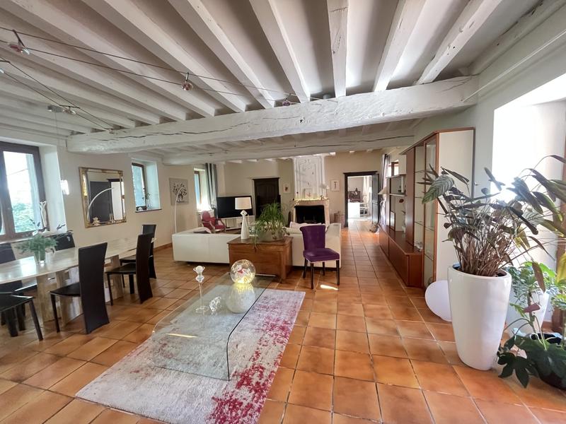 Maison ancienne - 300 m² - 7 pièces