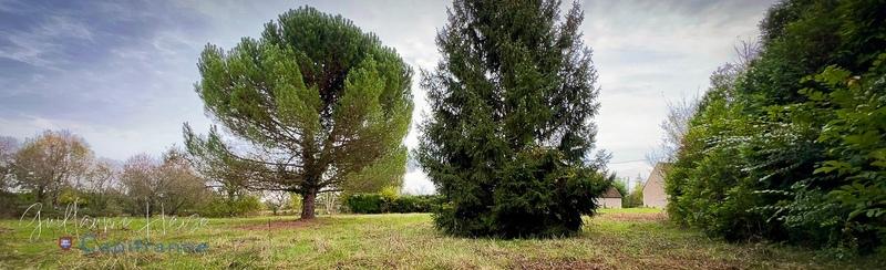 Terrain constructible - 4 617 m²