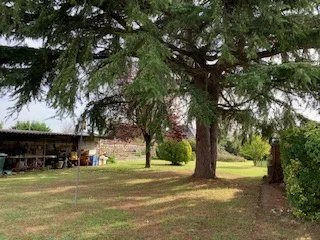 Viager - Maison - 130 m² - 5 pièces