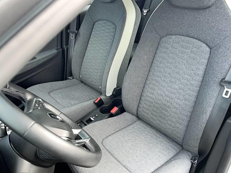 Renault Zoe R110 Achat Intégral Limited