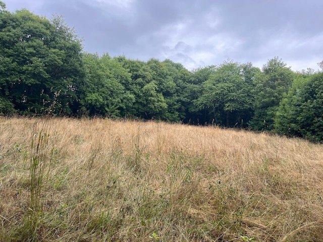 Maison - 130 m² - 4 pièces