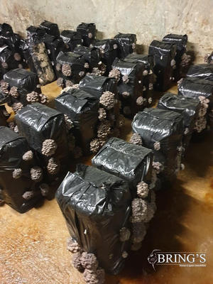 Fonds de commerce - 160 000 m²