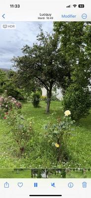 Maison - 272 m² - 10 pièces