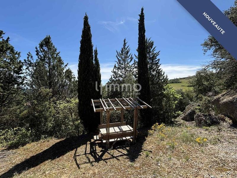 Terrain - 13 051 m²