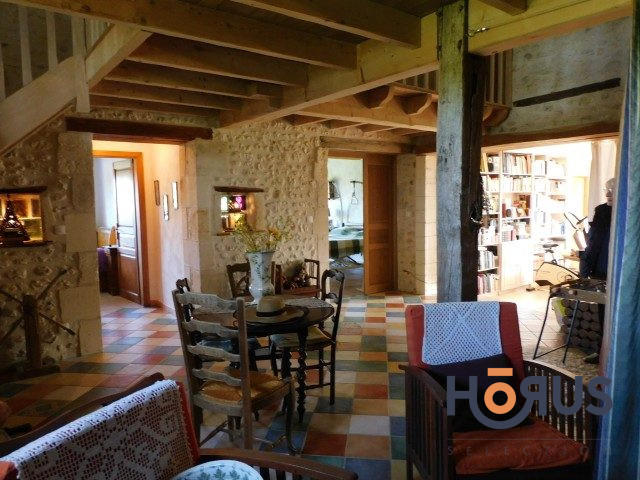 Viager - Maison ancienne - 210 m² - 4 pièces