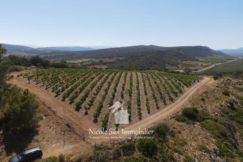 Terrain agricole - 30 000 m²