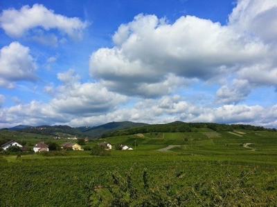 Duplex - 79 m² - 3 pièces