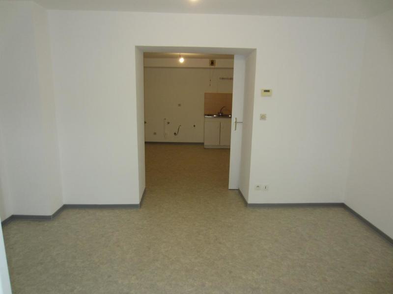 Appartement ancien - 44 m² - 1 pièce