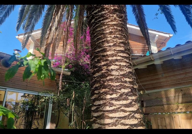 Appartement - 140 m² - 4 pièces