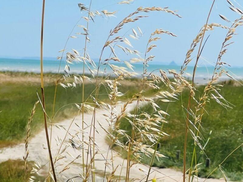 Fonds de commerce - 200 m²