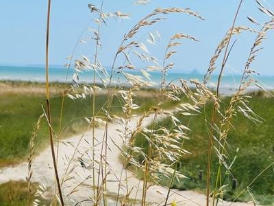 Fonds de commerce - 200 m²