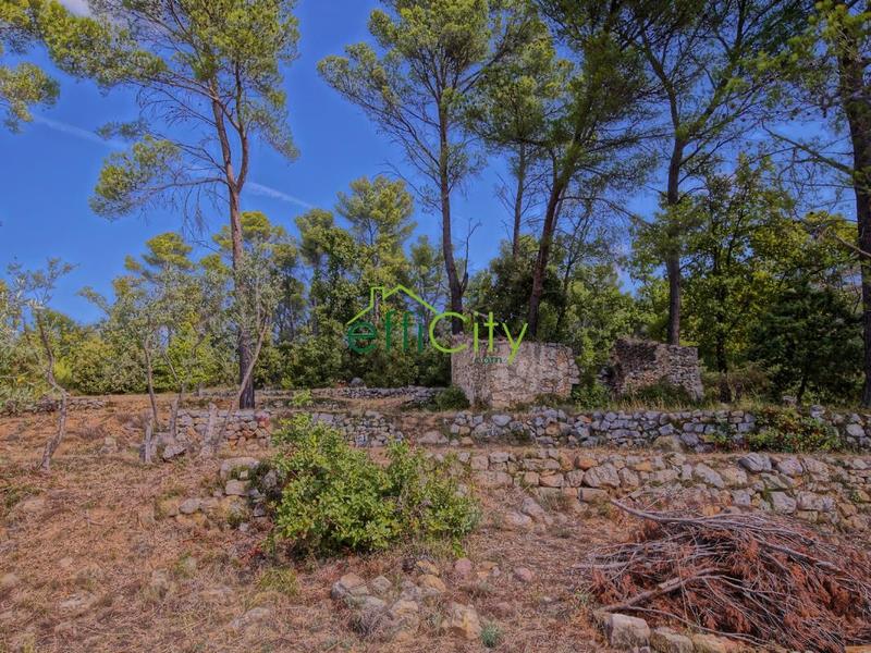 Maison - 260 m² - 7 pièces