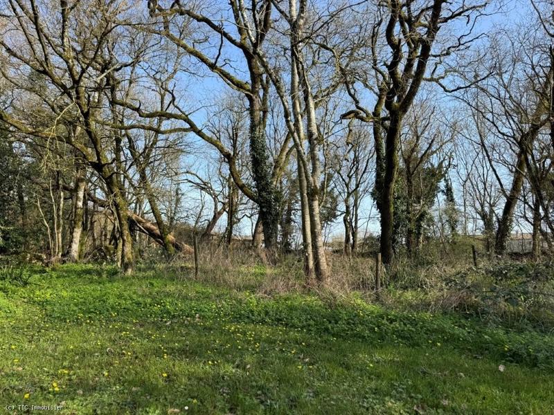 Maison de campagne - 150 m² - 5 pièces