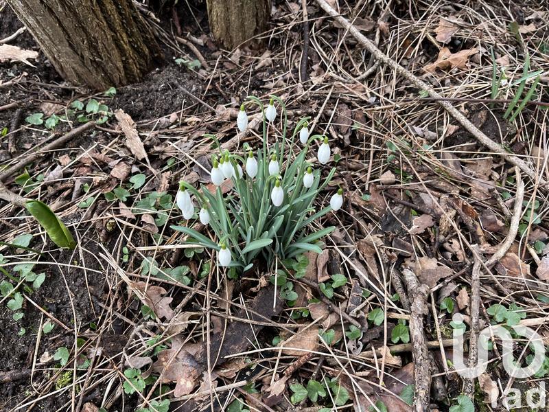 Maison - 142 m² - 5 pièces