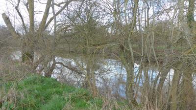 Terrain de loisirs - 5 557 m²