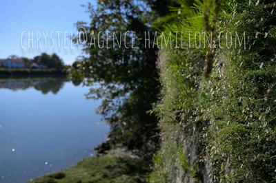 Maison - 550 m² - 27 pièces