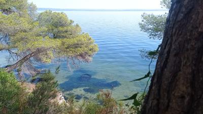 Eco balade autour de l'étang de Berre