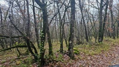 Terrain - 29 858 m²