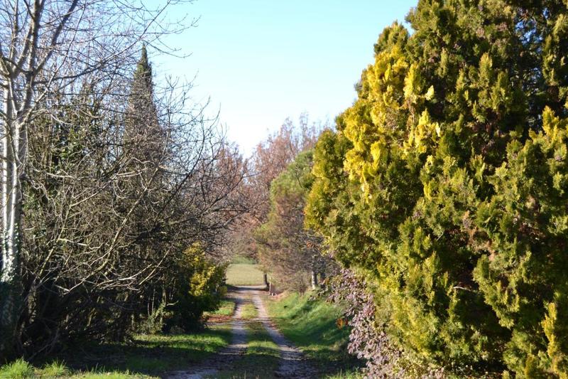 Maison - 253 m² - 7 pièces