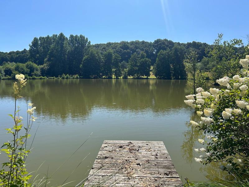 Maison - 371 m² - 7 pièces