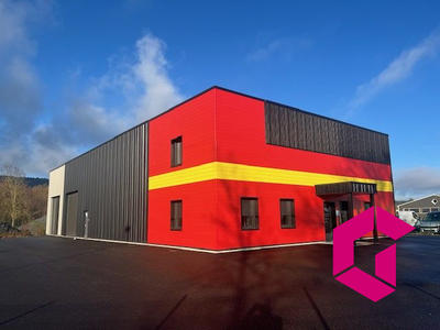 Local d'activités - 600 m²