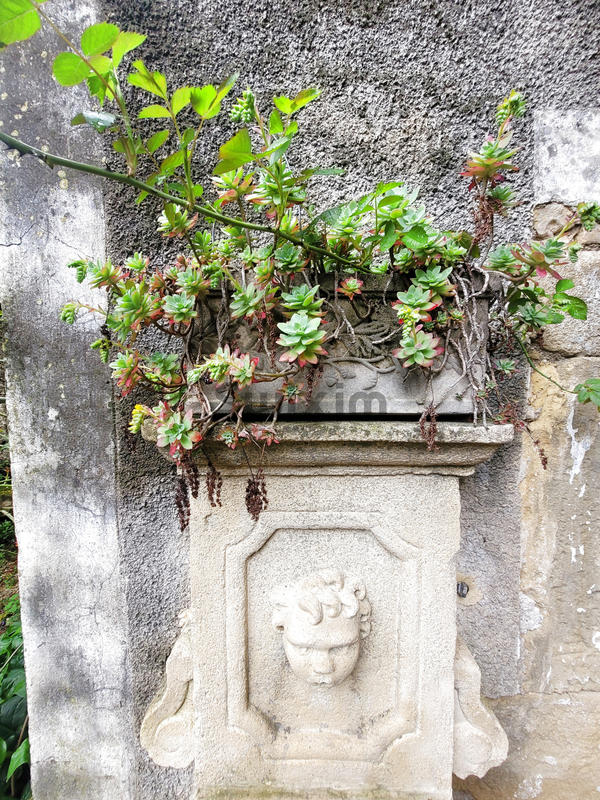 Maison de village - 157 m² - 10 pièces