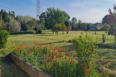 Mas - 125 m² - 5 pièces