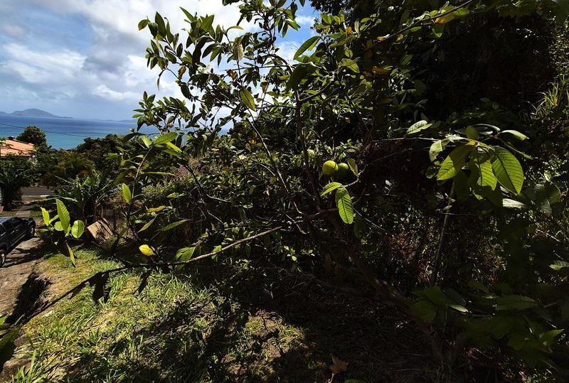 Maison - 44 m² - 3 pièces