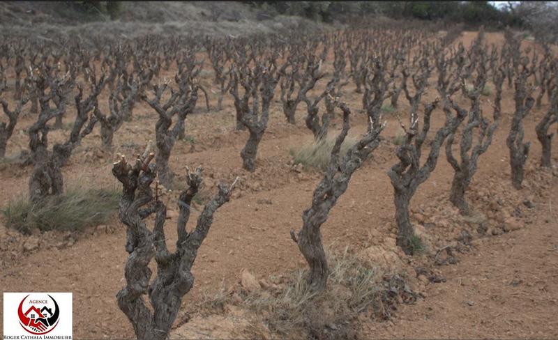 Terrain - 41 420 m²