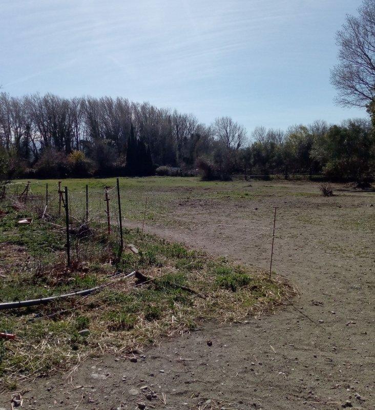 Terrain de loisirs - 8 000 m²