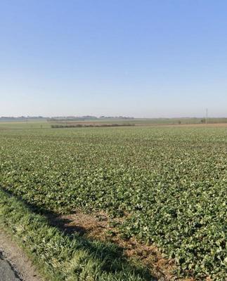 Terrain constructible - 335 m²