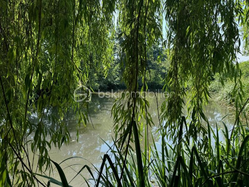 Maison - 142 m² - 6 pièces