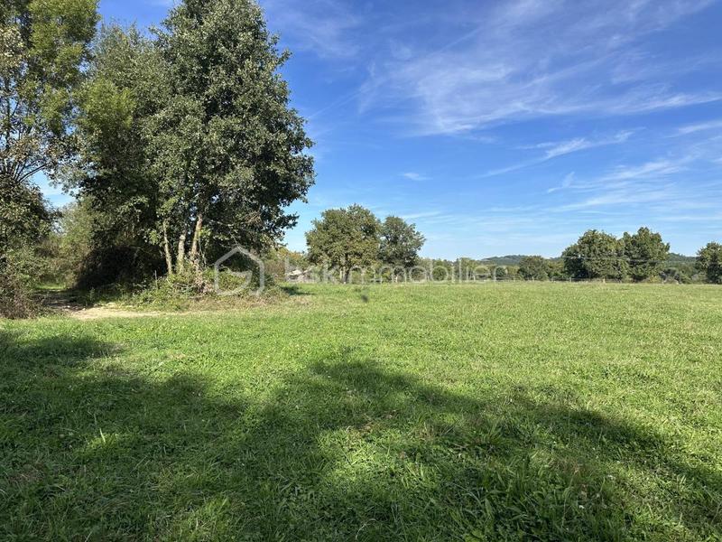 Maison de domaine équestre - 380 m² - 11 pièces