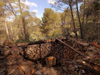 Terrain agricole - 525 m²