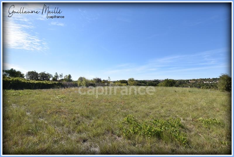 Terrain agricole - 19 630 m²