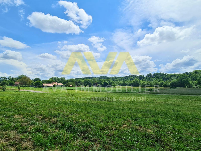 Terrain - 1 237 m²