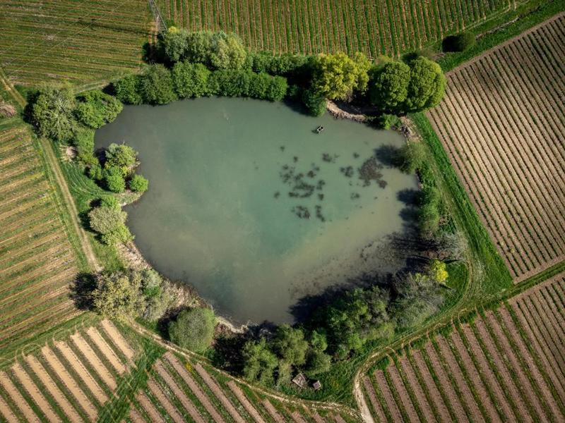 Propriété viticole - 366 m² - 10 pièces