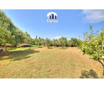 Propriété - 180 m² - 6 pièces