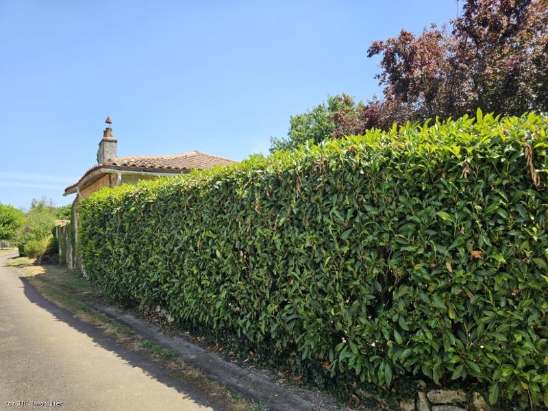 Maison en pierre - 140 m² - 9 pièces