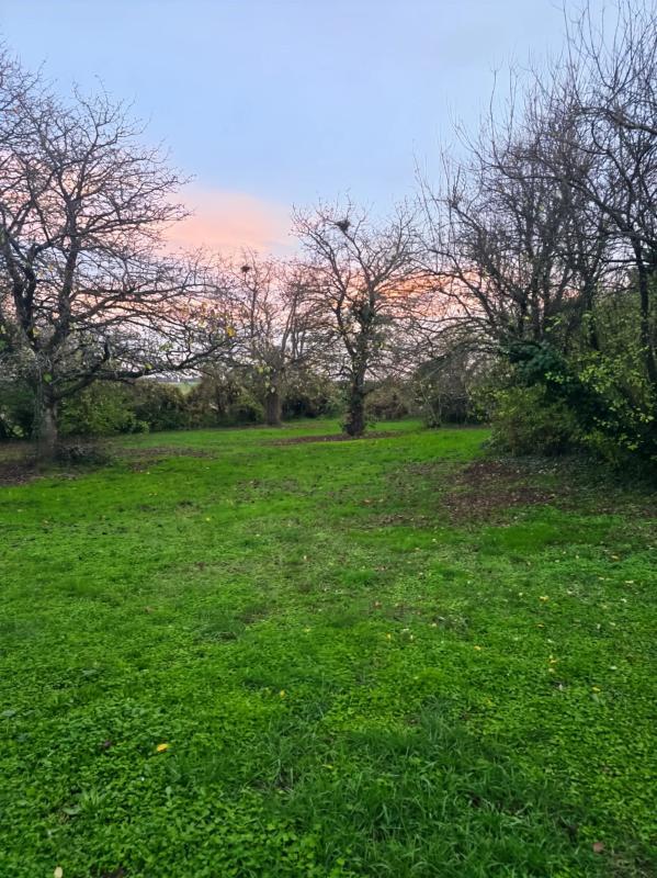 Maison en pierre - 158 m² - 6 pièces