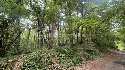 Terrain de loisirs - 1 900 m²